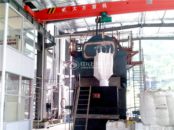 DZL8-1.25-M浙江生物质蒸汽锅炉项目